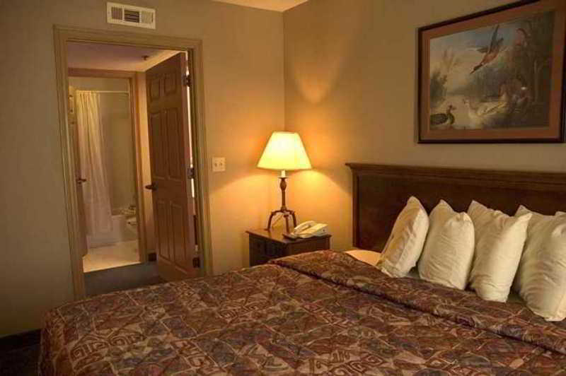 Homewood Suites By Hilton Houston-Clear Lake Вебстер Номер фото
